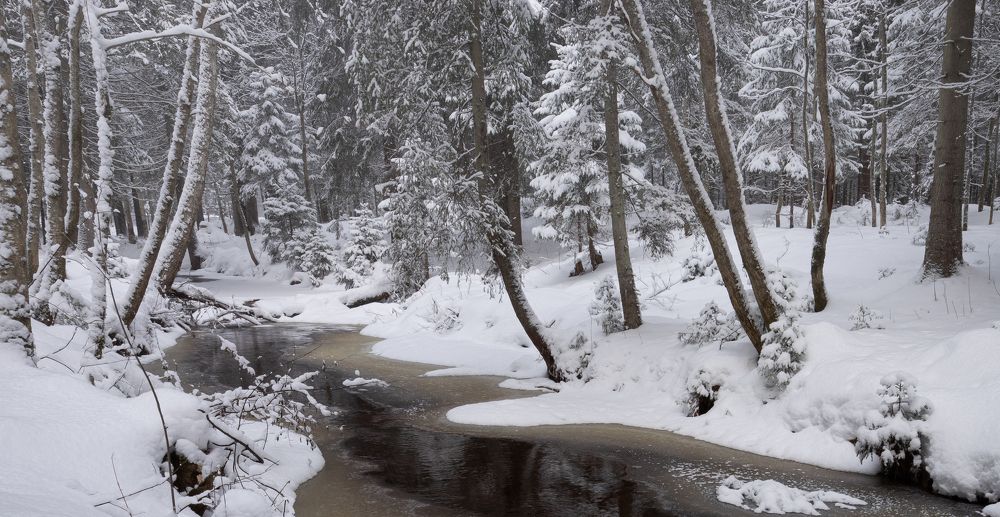 Photograph by Евгений Волосков