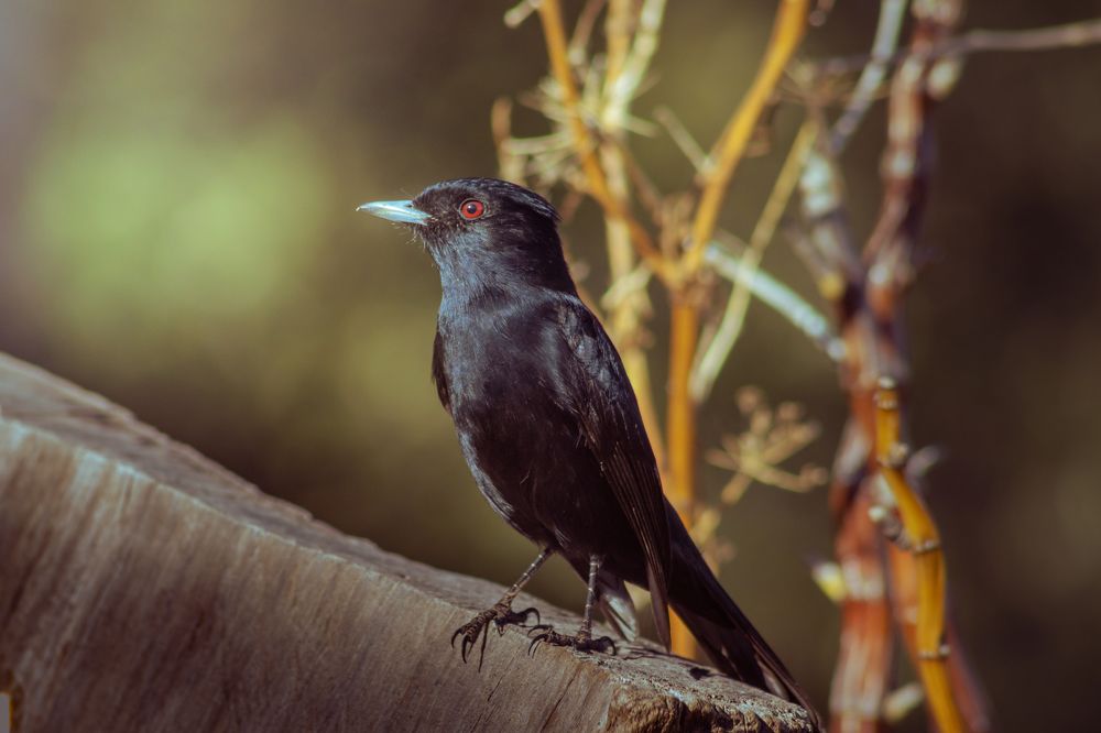 Photograph by FF casa