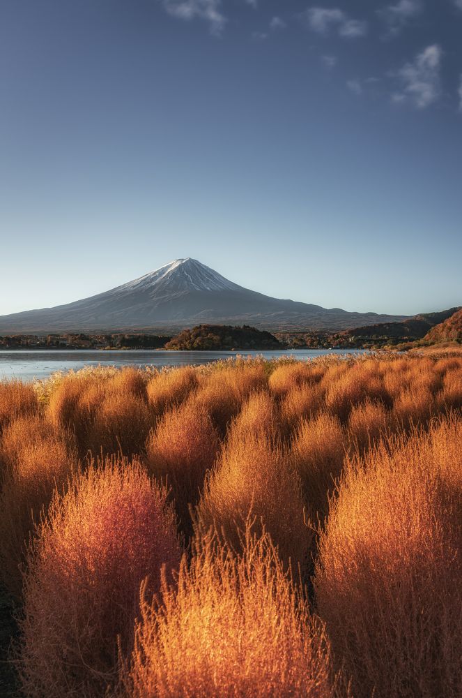 Photograph by Kamo Mario