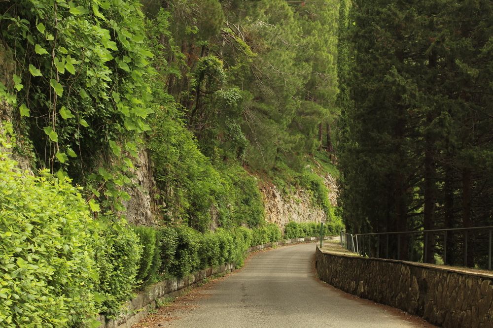 Photograph by Anastasia