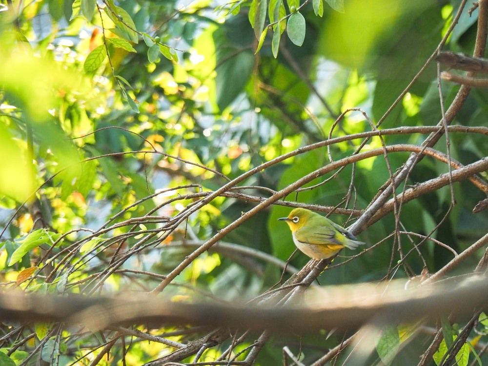 Photograph by LegendZRAG