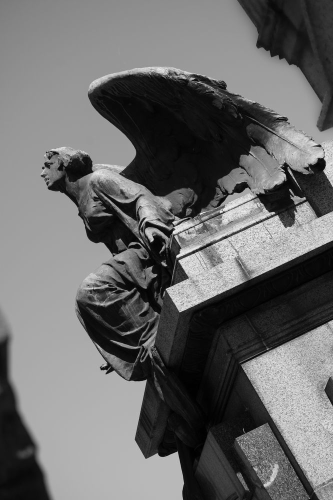 Фотография автора Liliana Cancino Abregu