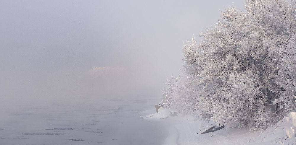 Photograph by Алексей Семенихин