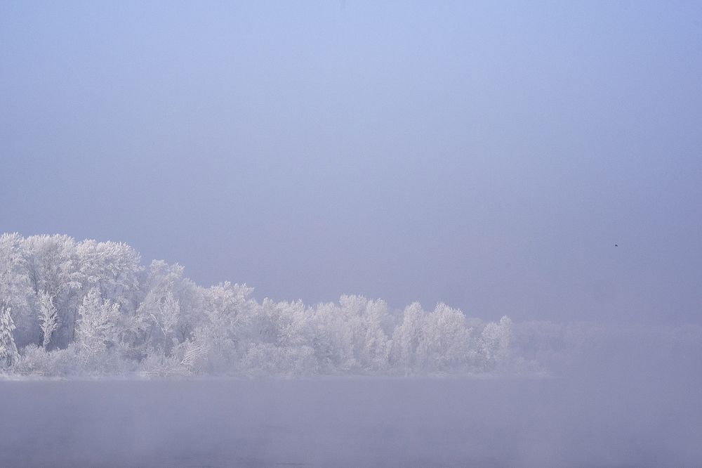 Photograph by Алексей Семенихин