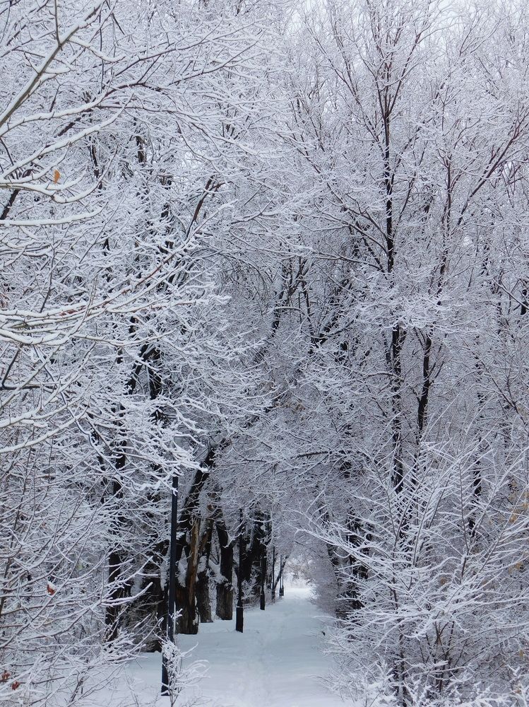 Photograph by Сергей Чеченов