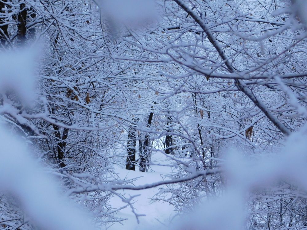 Photograph by Сергей Чеченов