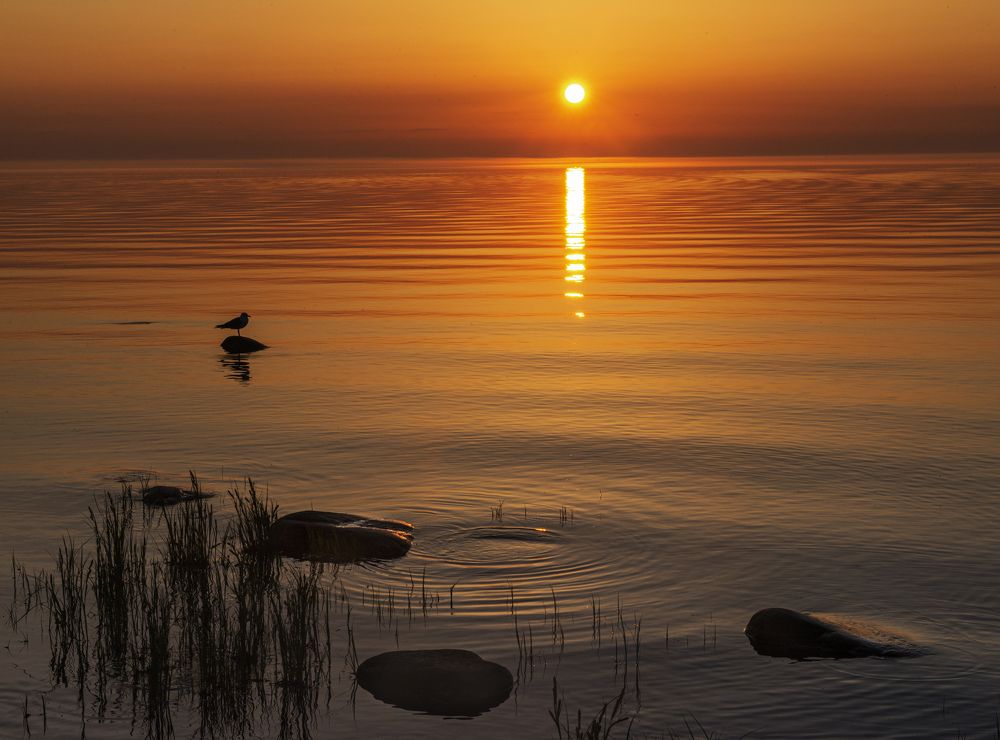 Photograph by Кирилл Аксенов