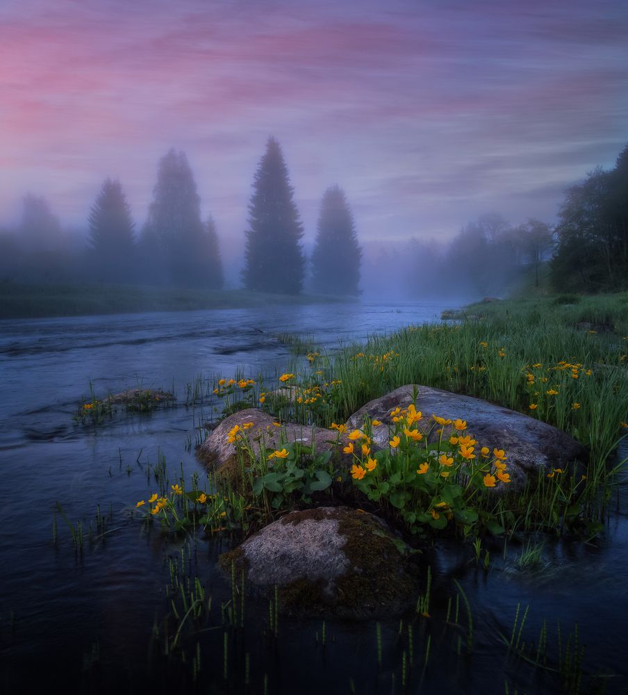 Летнее утро...