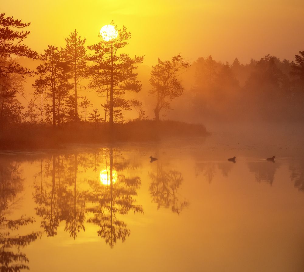 Photograph by Андрей Корочкин