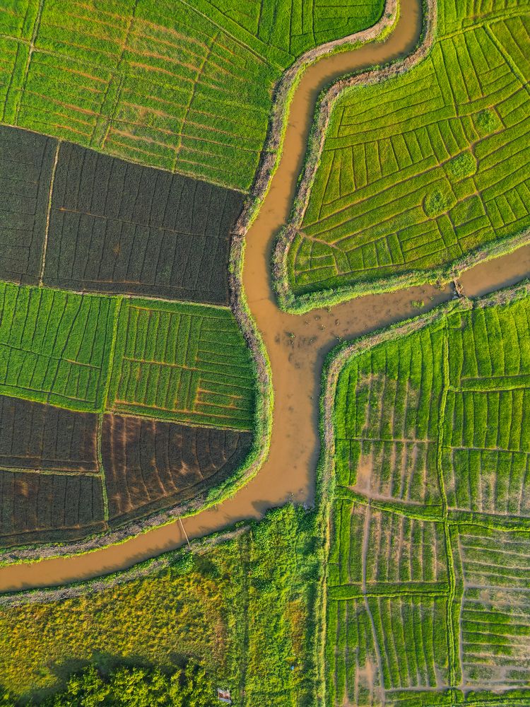 Photograph by Chamila Wickramanayake