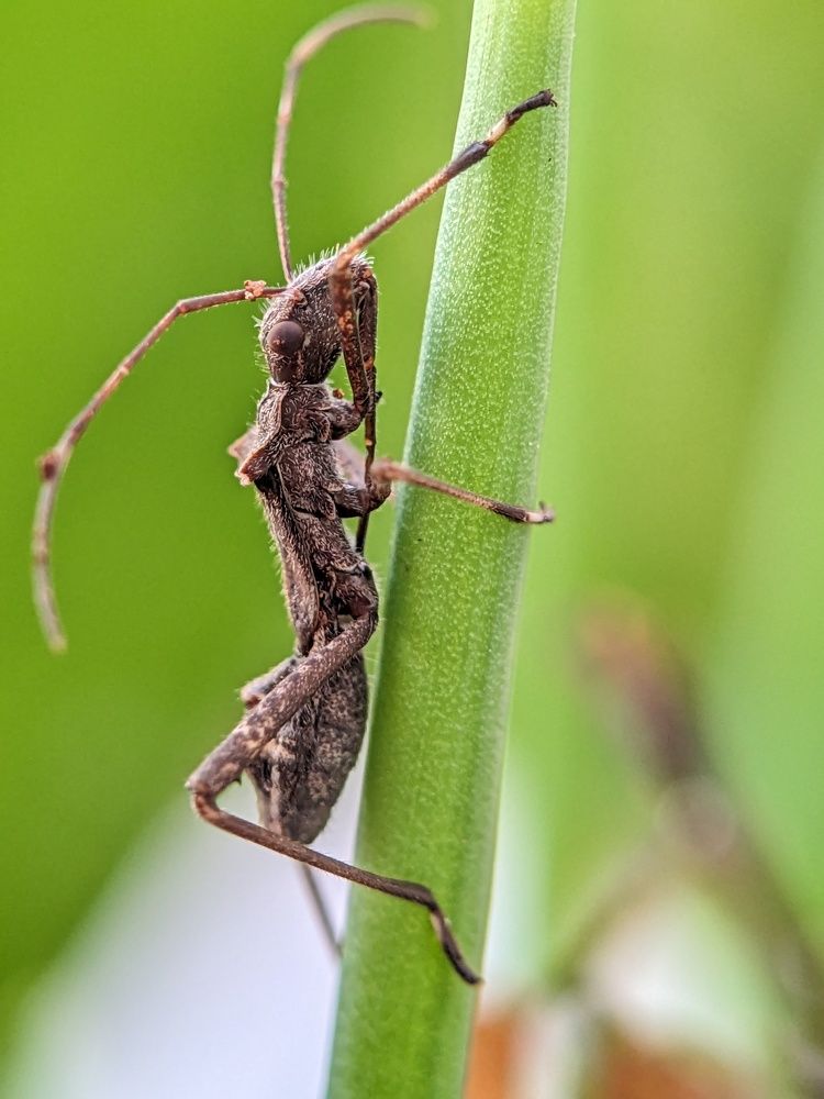Photograph by Priya Sathya Narayanan