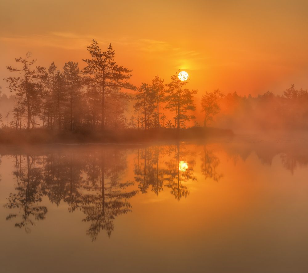 Два солнышка...