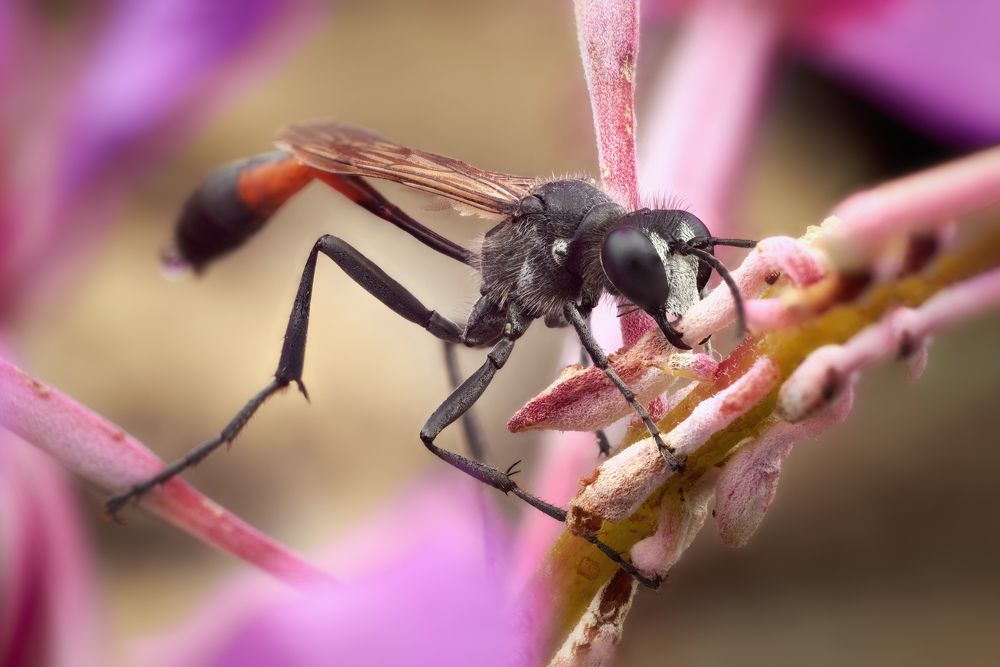 Photograph by Роман Фадеев