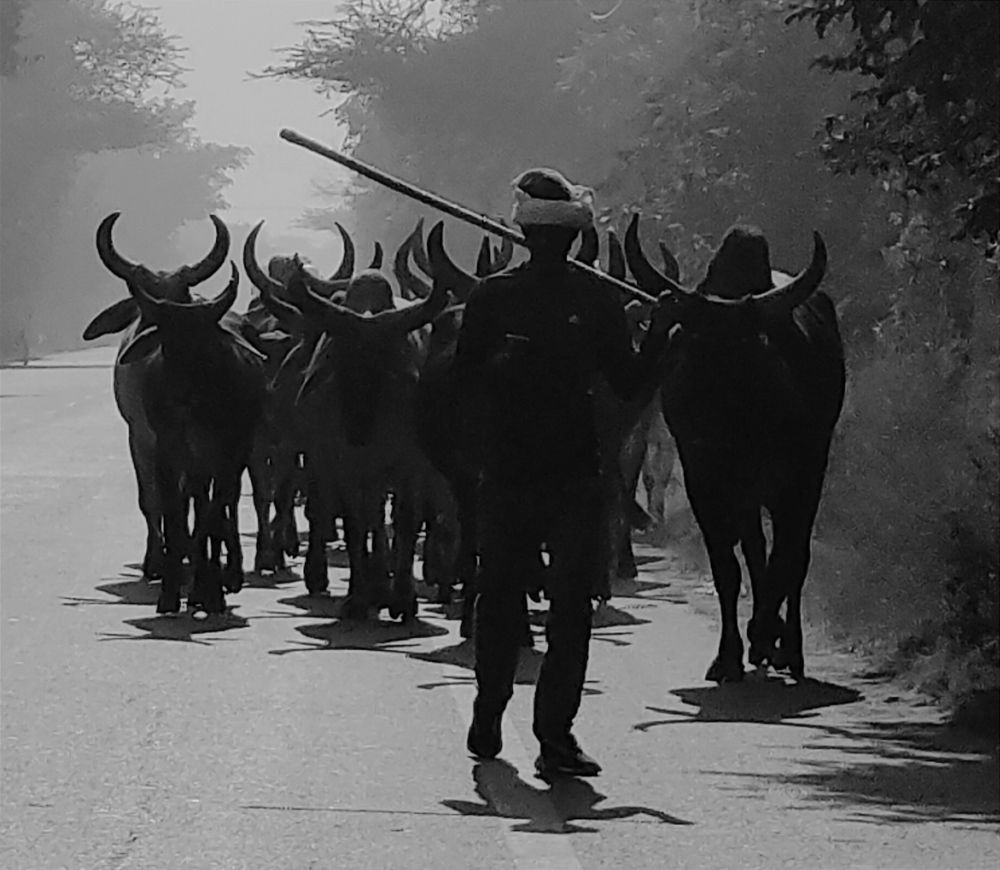 Photograph by Kapil Singh