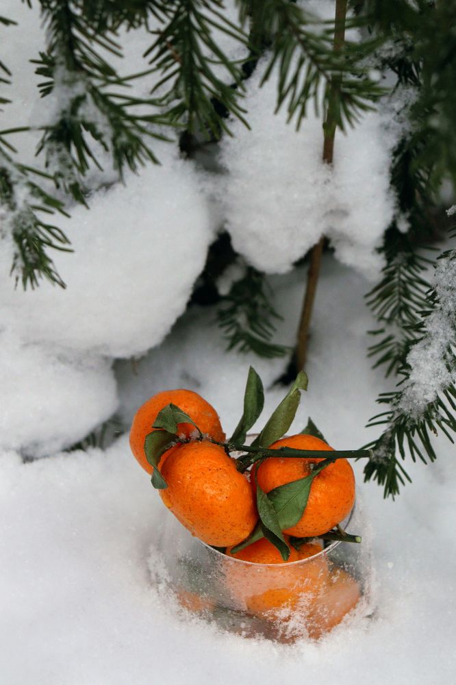 Photograph by Анна Горбунова