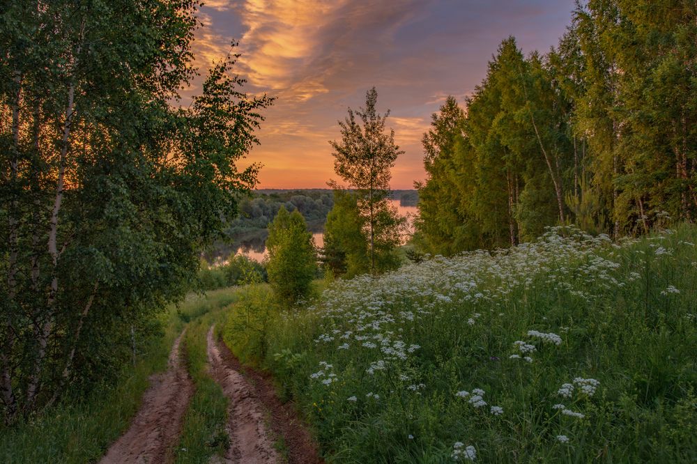 Photograph by Дмитрий Алексеев