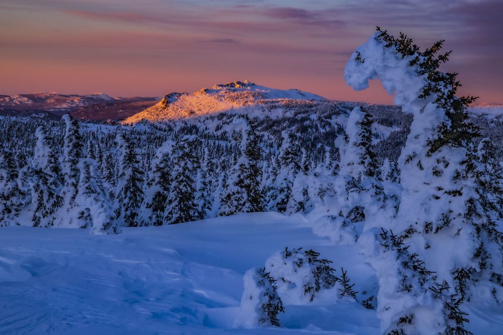 Photograph by Елена Перминова