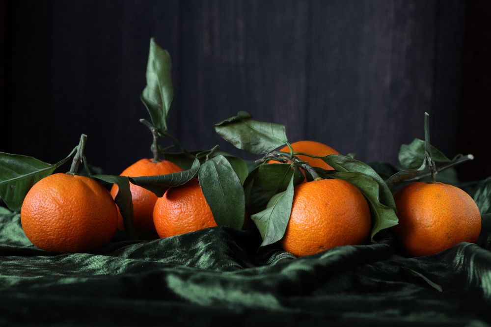 Photograph by Анна Горбунова
