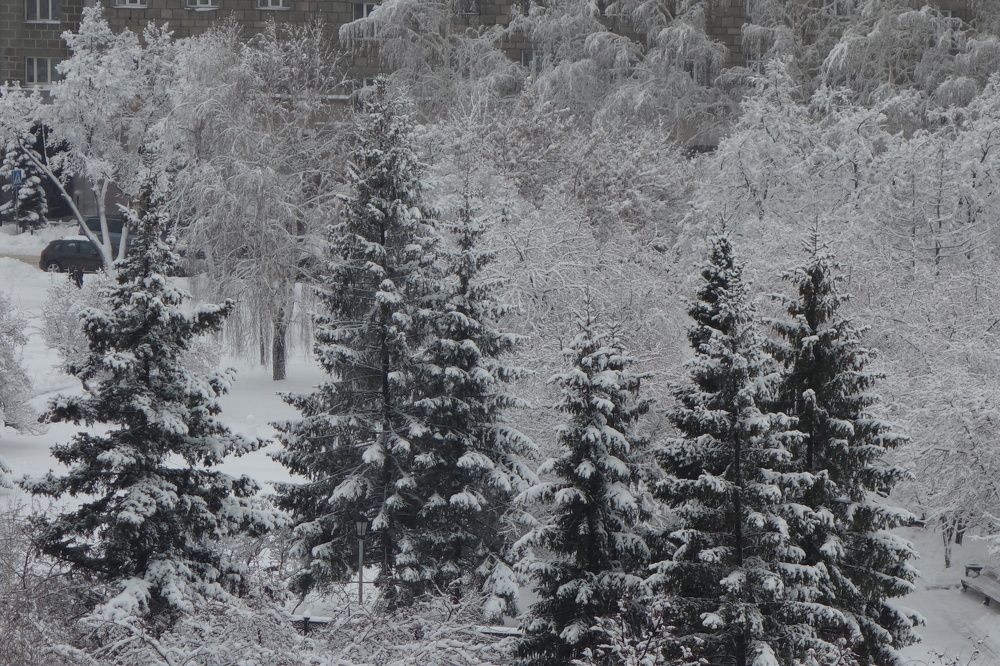 Photograph by Сергей Гребенников