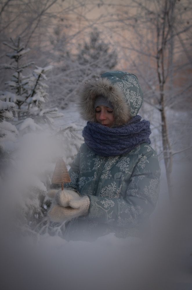 Рождественская история
