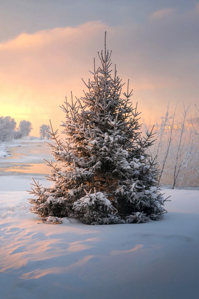 Photograph by Екатерина Назарова