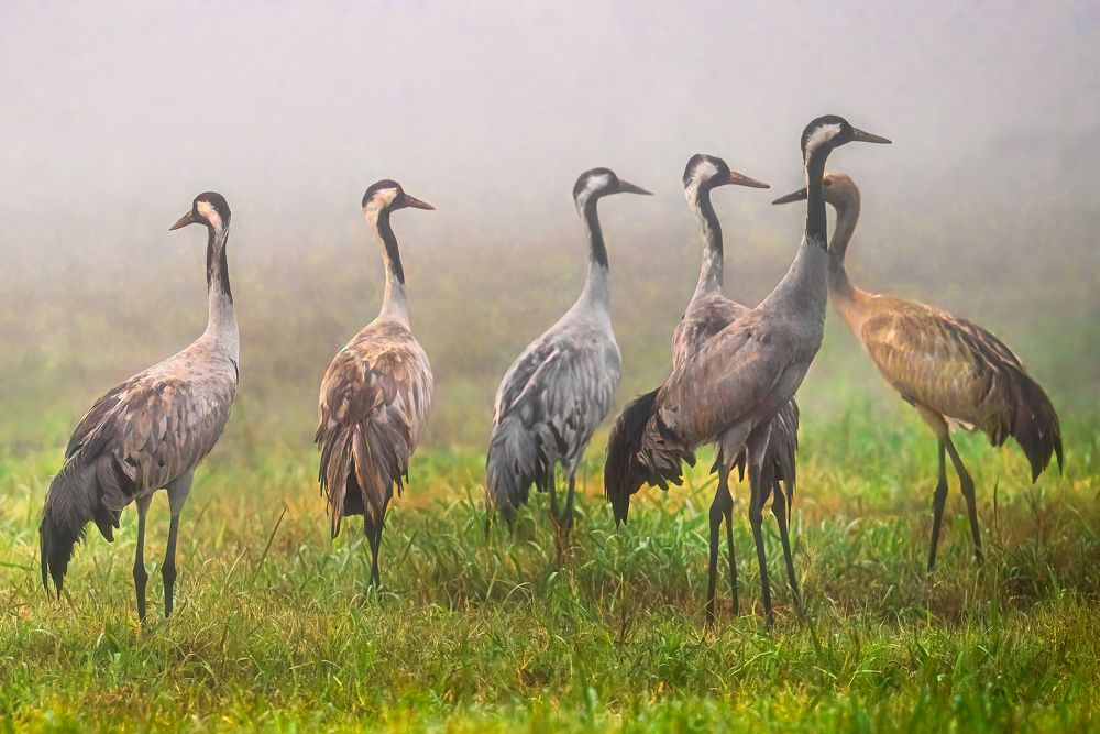 Photograph by Шварцман Евгений