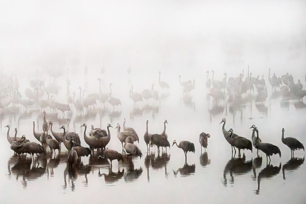 Photograph by Шварцман Евгений