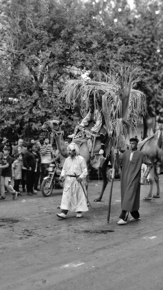 Photograph by Maryam Soleymani