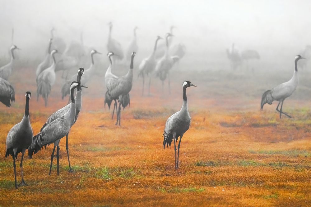 Photograph by Шварцман Евгений