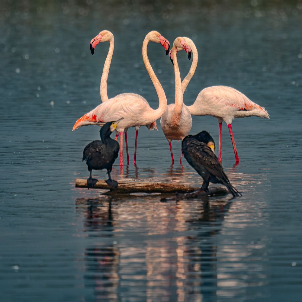 Photograph by Шварцман Евгений