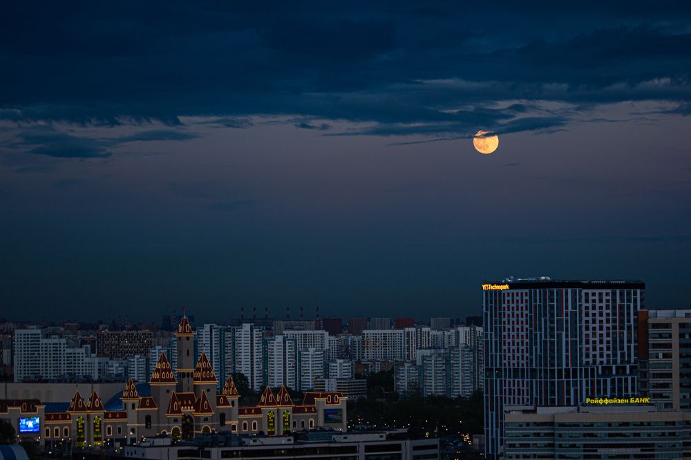 Photograph by Ekaterina Narozhnova