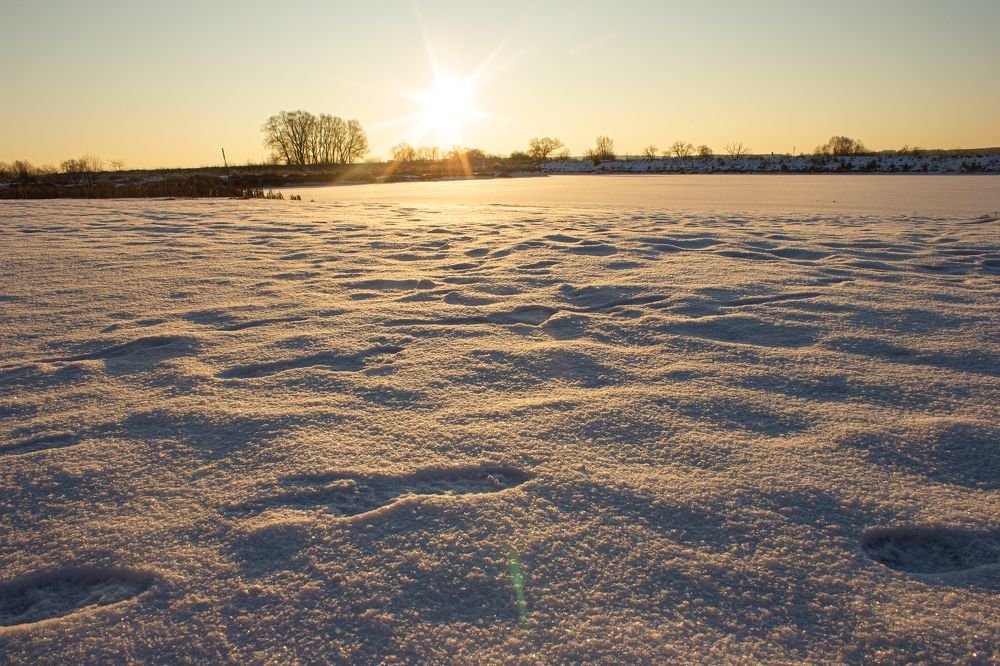 Photograph by Ekaterina Narozhnova