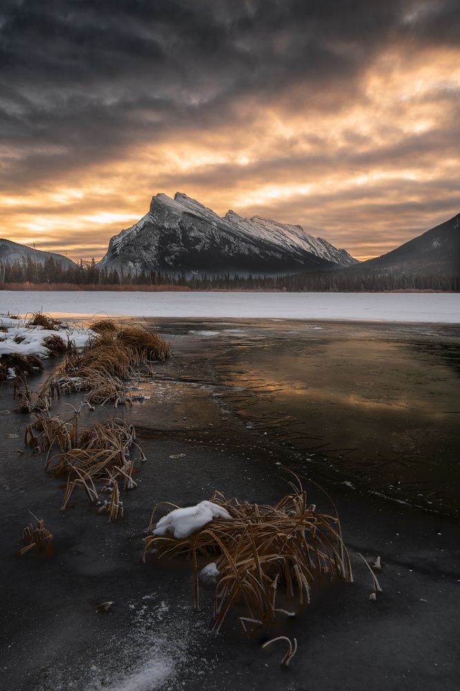 Photograph by Idan Livni