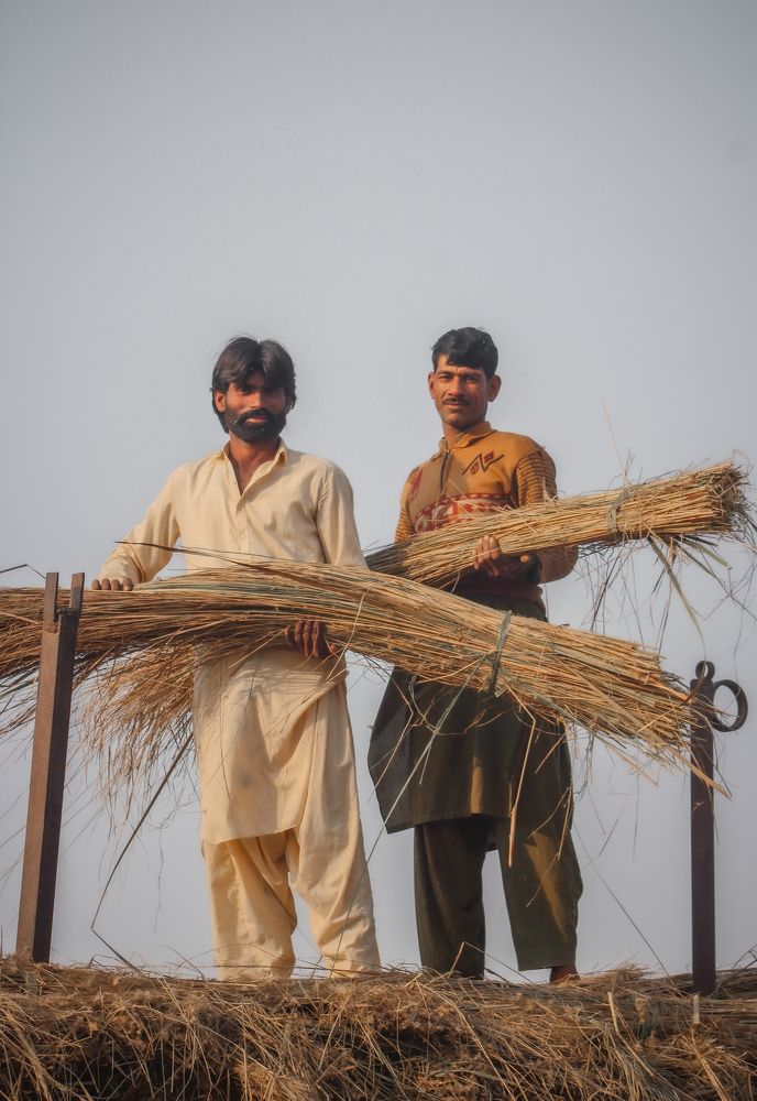 People at work