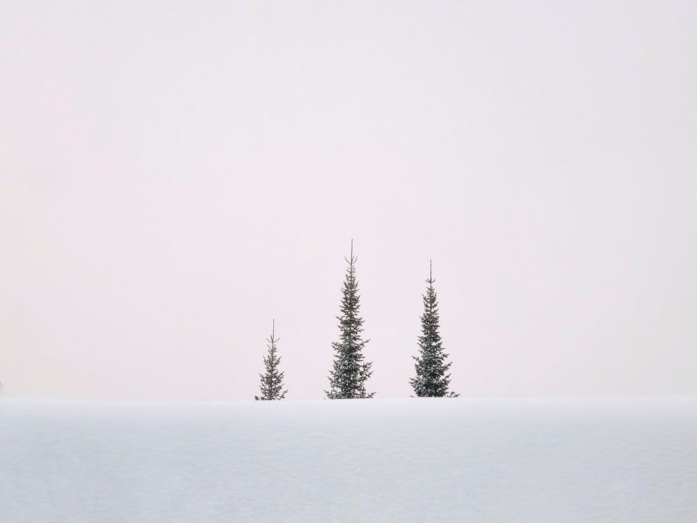 Photograph by Юлия Звонарева