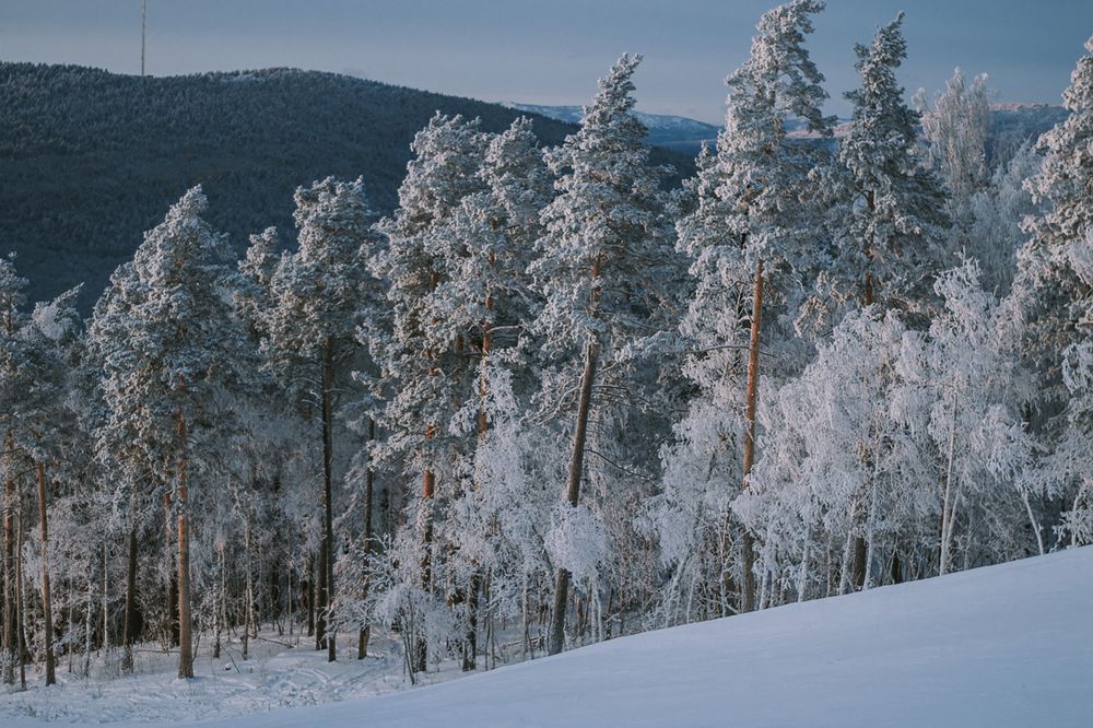 Photograph by Ксения Кузнецова