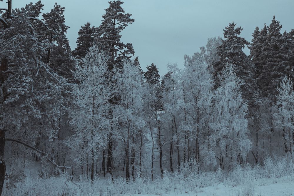 Photograph by Ксения Кузнецова