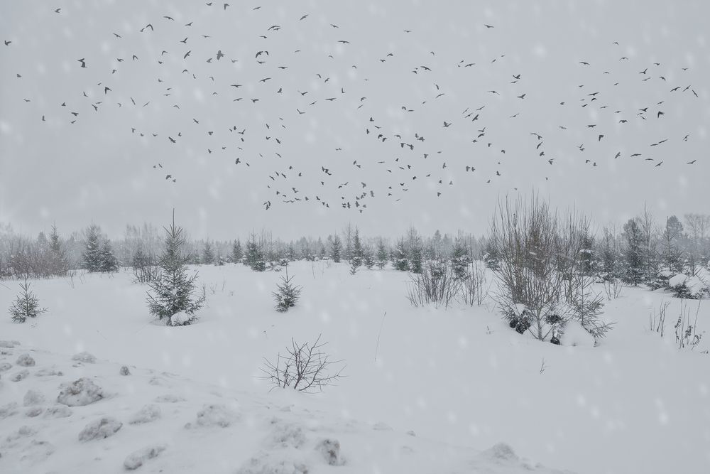 Photograph by Ирина Кленкова