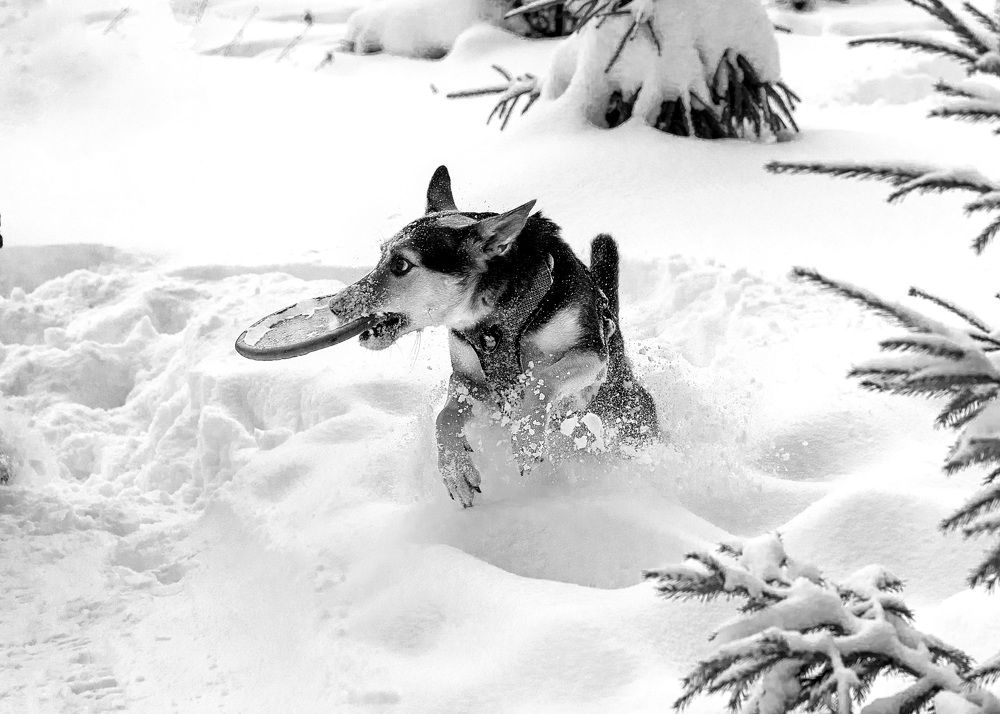 Photograph by Жанна Агафонова