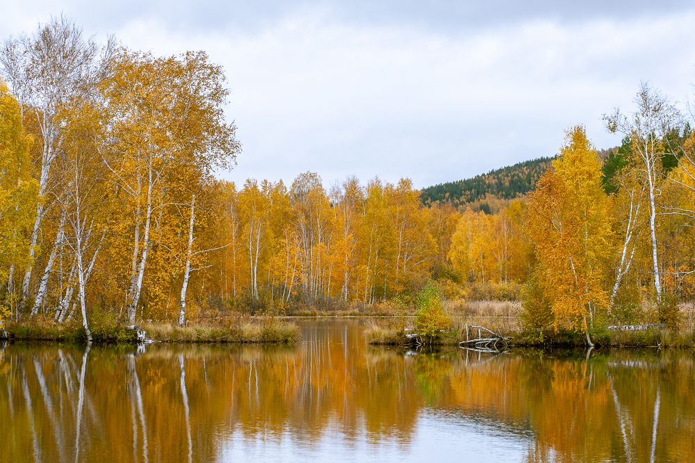 Photograph by Евгений Москвин