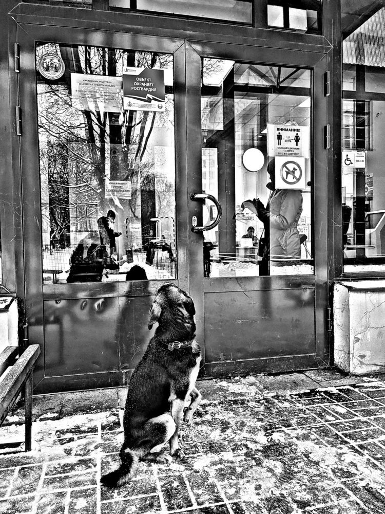 А про меня забыли...Холодно...!