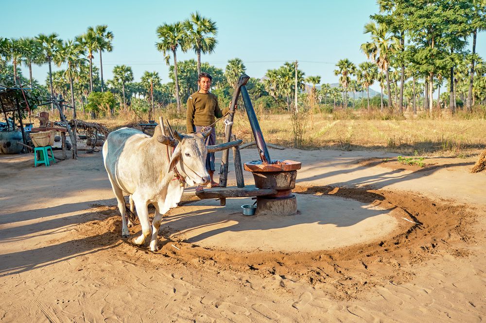 Photograph by Fischer Andreas