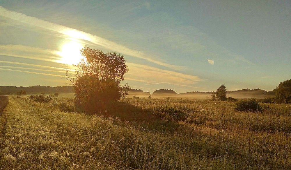 Утренняя рань!