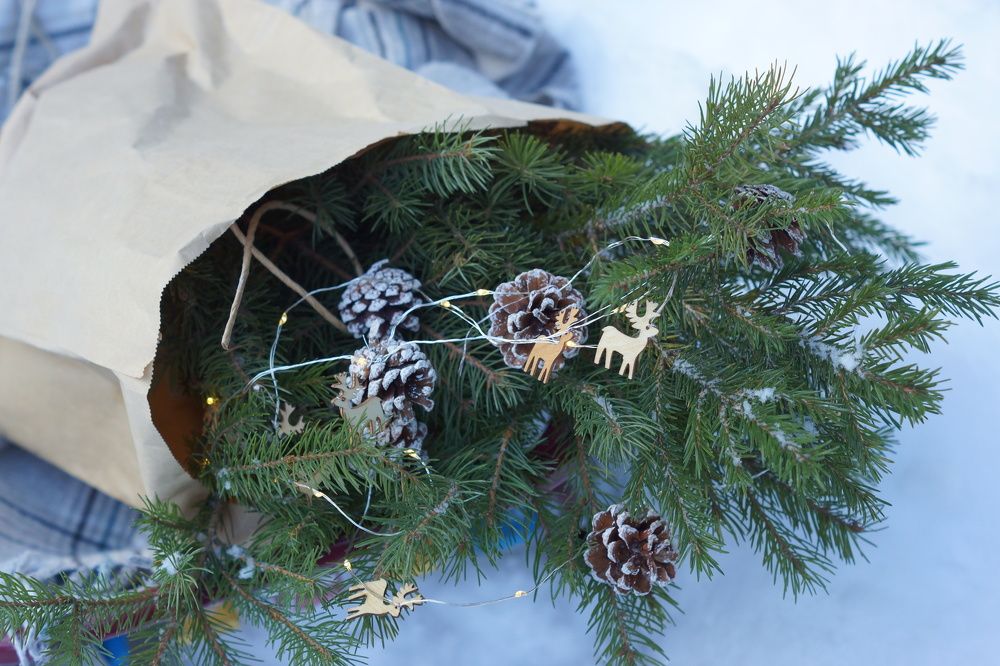 Photograph by Владислава Кузнецова