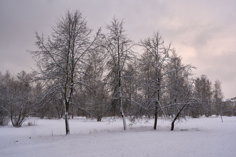 Photograph by Anton  Lavrentiev