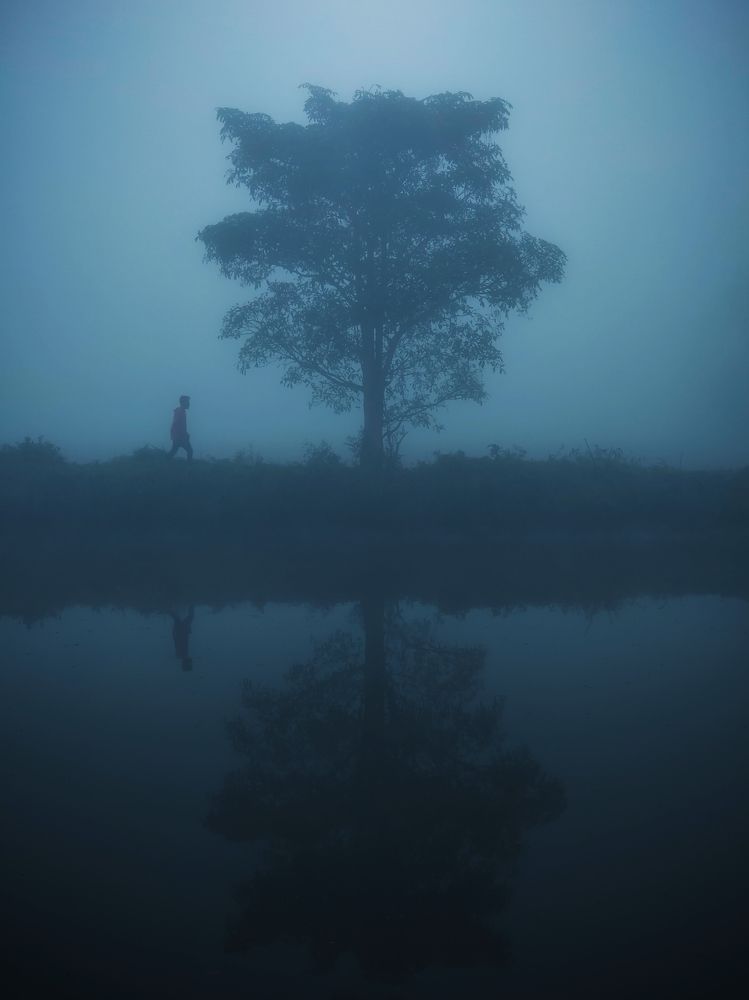 "You are a shadow just passing by"