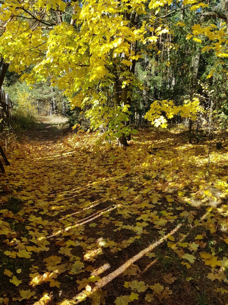 Photograph by Наталья Королева