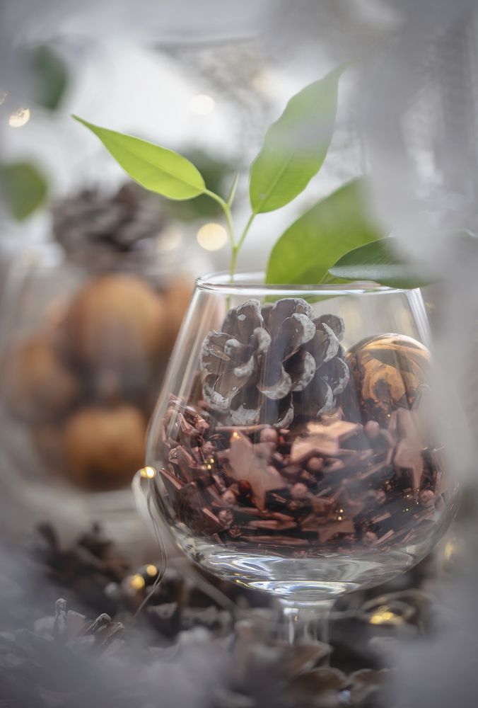 Photograph by Katja Sen