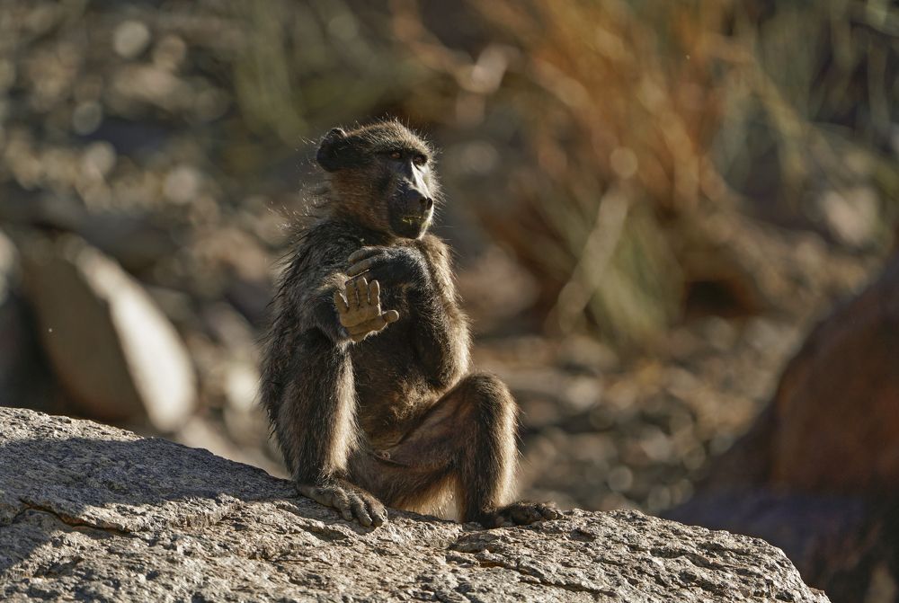 Не надо снимать