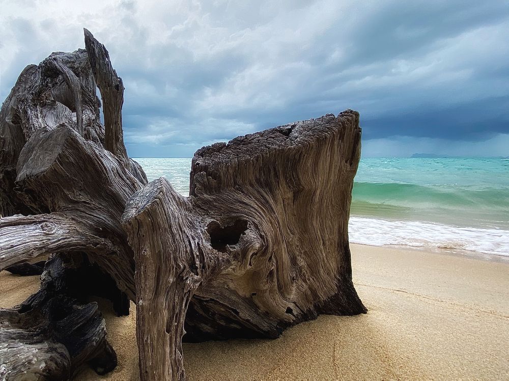 Photograph by Марина Танаева